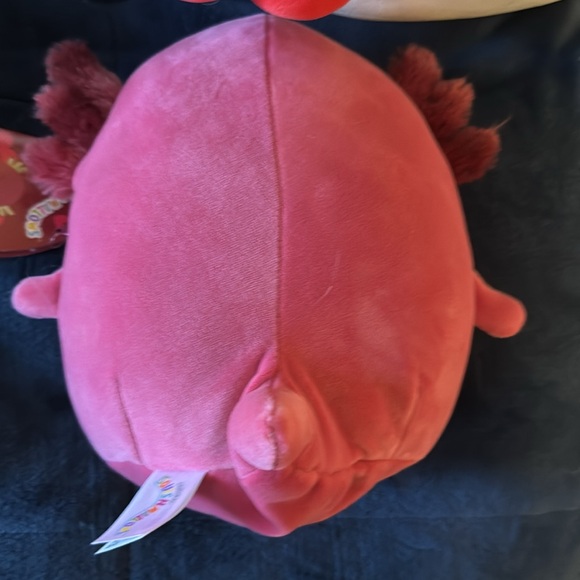 Indiemae the Axolotl valentine squishmallow NWT - Picture 5 of 7